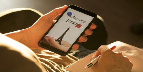 Customer Assistance Agent with French